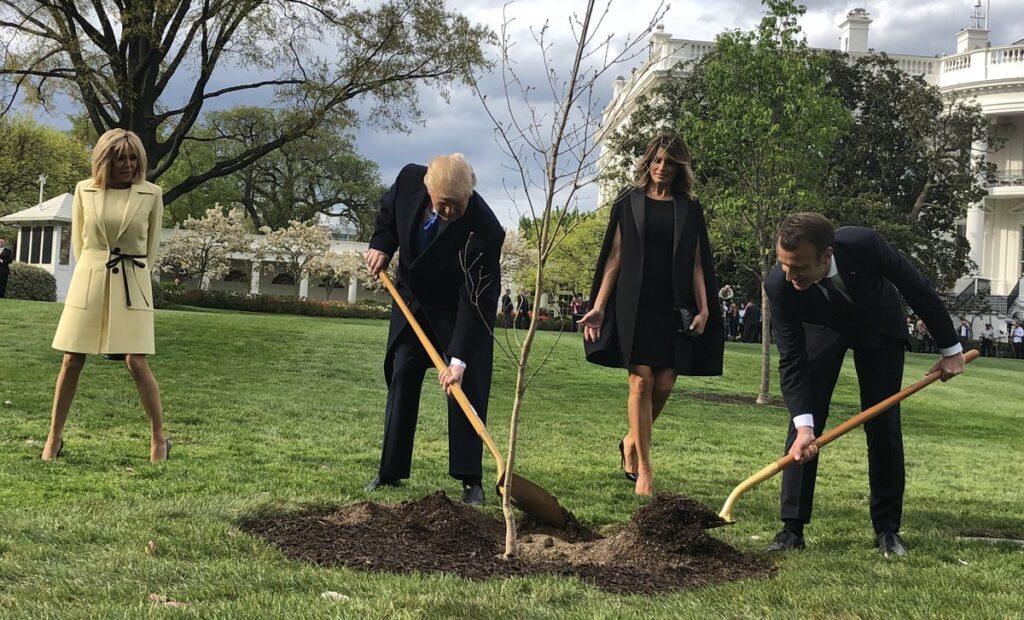 Trump och Macron planterar träd.