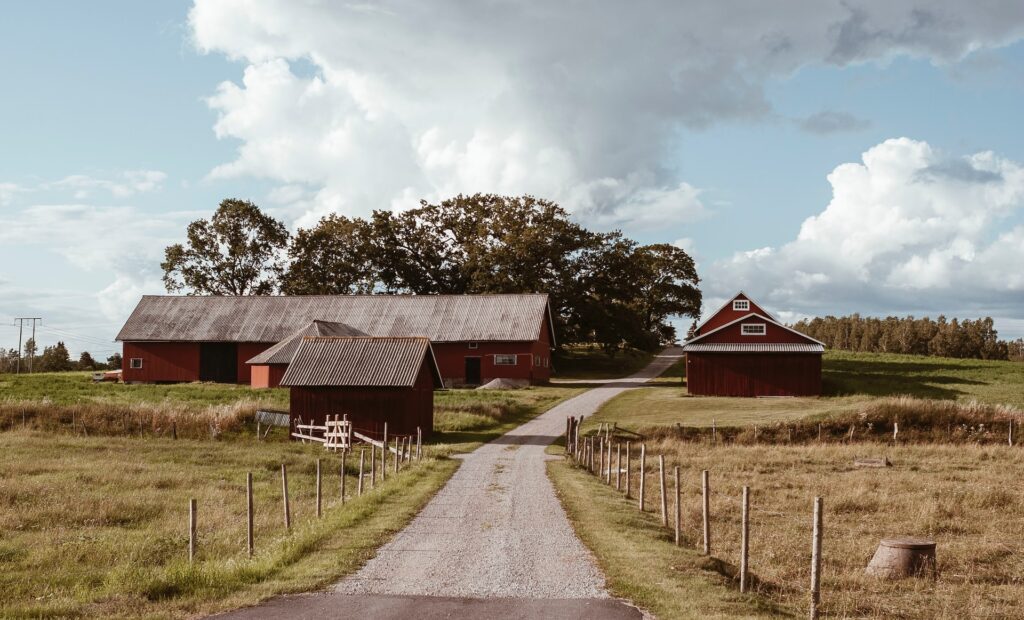 Foto: Alex Kotomanov/Unsplash