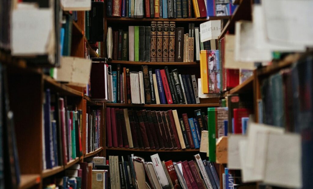 olena-bohovyk-Ft_Wn-K5YH8-unsplash