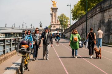 pexels-alejandro-aznar-155337093-20413534